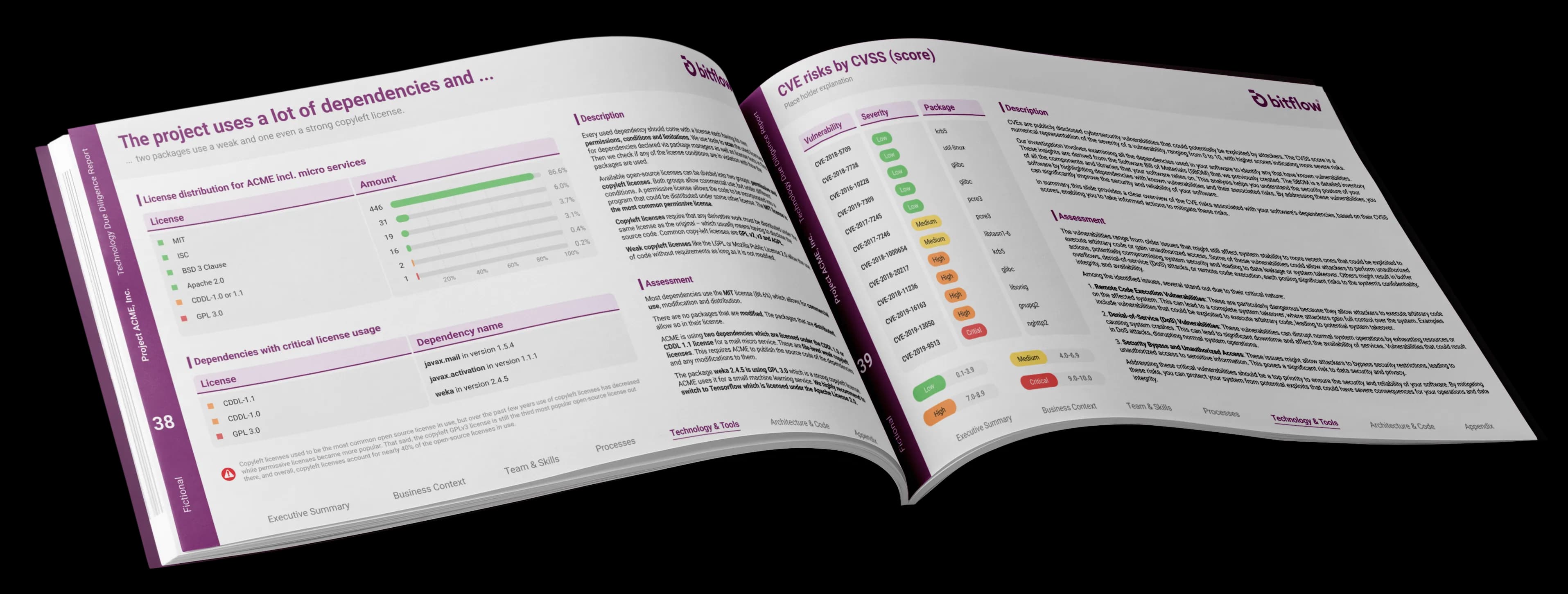 Inside a BitFlow report
